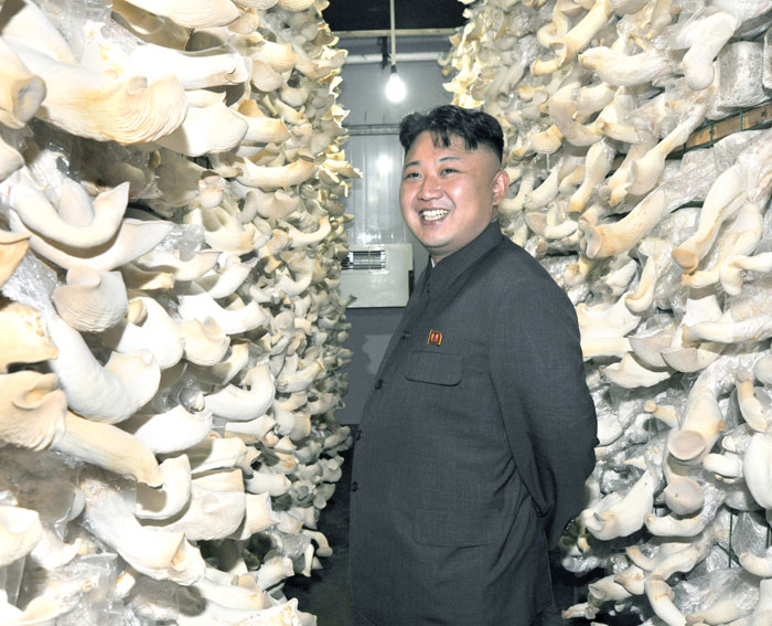 Kim Jong Un tours a mushroom farm constructed by farm #1116 ...