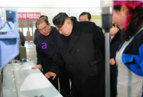 Kim Jong Un is briefed about a textile machine during a visit to Kim Cho'ng-suk Textile Mill.  Also in attendance is WPK Light Industry Department Director An Jong Su (a) (Photo: Rodong Sinmun).