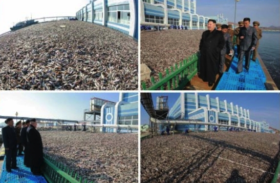 Photos of Kim Jong Un's tour of the May 27 Fishery Station which appeared on the bottom right of the cover of the November 17, 2016 edition of Rodong Sinmun (Photos: KCNA/Rodong Sinmun).